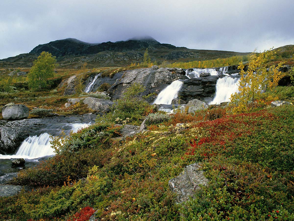 Skal hilse fra fjellet, Stryket