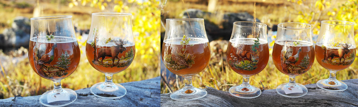 Villmarksglass