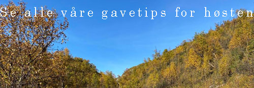 Alle vre gavetips for hsten