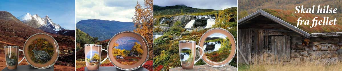 Skal hilse fra fjellet