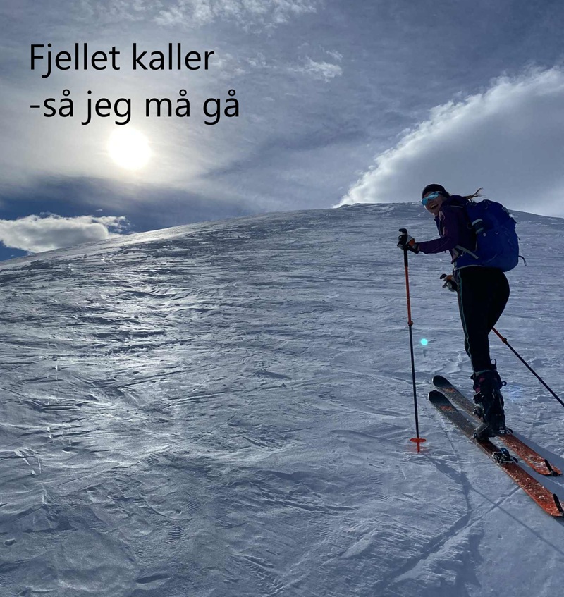 Fjellet kaller - så jeg må gå